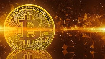 金币网虚拟币(金币网上商城官网)