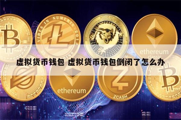 虚拟币在线钱包(虚拟币钱包app下载)